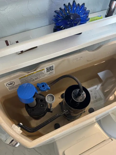 Remove And Replace Toilet Flush Gasket