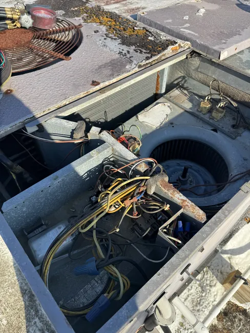 Job in Jacksonville