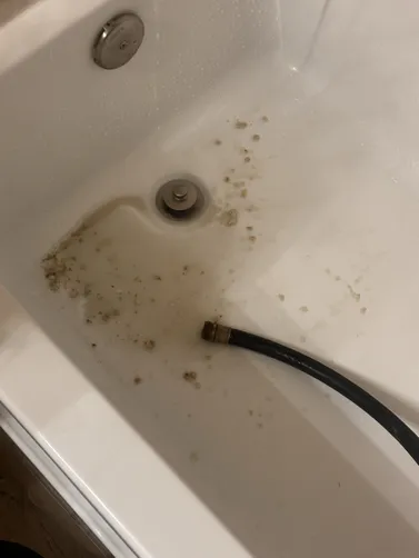 photo at Houston, TX on Nov 17, 2025: A buildup of sediment often reduces water heater efficiency, leading to less effective heating. We 