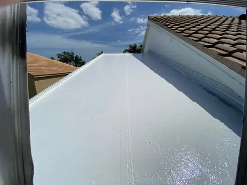 Silicone Coating On Leaking Flat
