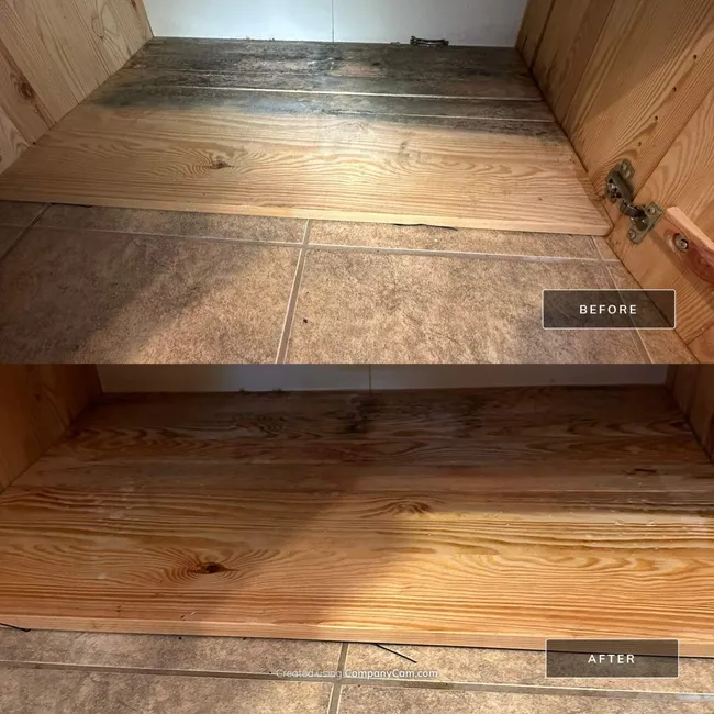 Suspect Microbial Removal In Art Studio & Mechanical Area
