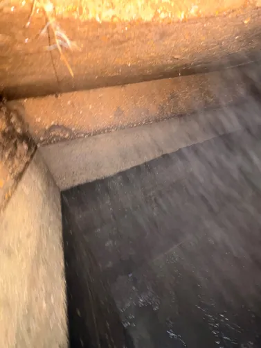 photo at Goodlettsville, TN on Jun 10, 2026: A septic inspection was conducted on the property in Goodlettsville. We thoroughly evaluated the ex photo at Goodlettsville, TN on Jun 10, 2026: A septic inspection was conducted on the property in Goodlettsville. We thoroughly evaluated the ex