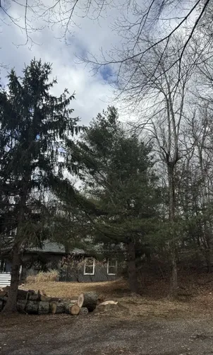 photo at Stanfordville, NY on Mar 13, 2025: A large White Oak tree posed a risk to the residential property due to its proximity to the home. W