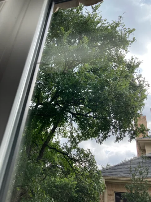 Washing Windows And Taking Notes!