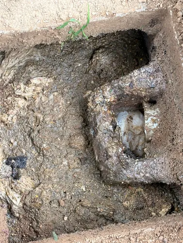 photo at Portland, TN on Jun 26, 2026: A septic tank pump was necessary to ensure proper waste management for the property in Portland. We photo at Portland, TN on Jun 26, 2026: A septic tank pump was necessary to ensure proper waste management for the property in Portland. We