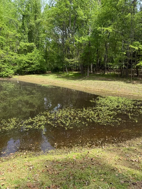 Job in Summerfield