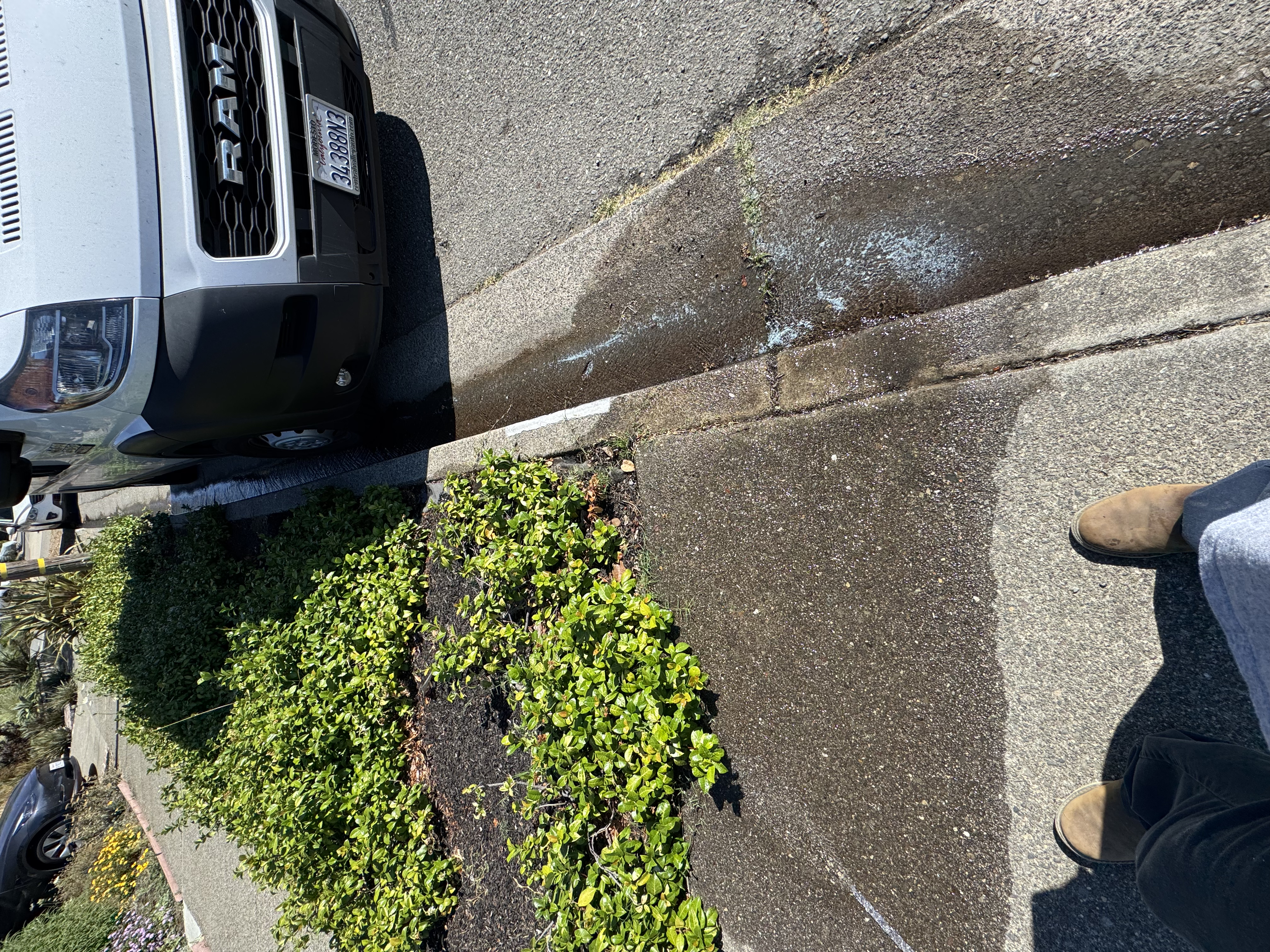 Water heater tank flush and anode rod replacement in San Rafael