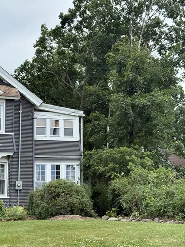photo at Arlington, NY on Jul 17, 2025: A dead maple tree posed a risk by being intertwined with power and cable lines in the center front 