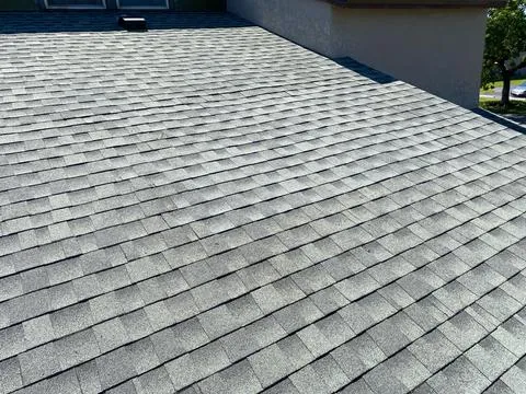 Skylight Removal