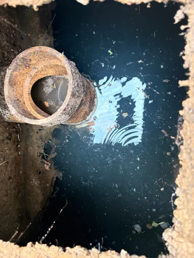 photo at Gallatin, TN on Jun 12, 2026: A thorough septic inspection was conducted to assess the solids tank, pump tank, and distribution b photo at Gallatin, TN on Jun 12, 2026: A thorough septic inspection was conducted to assess the solids tank, pump tank, and distribution b