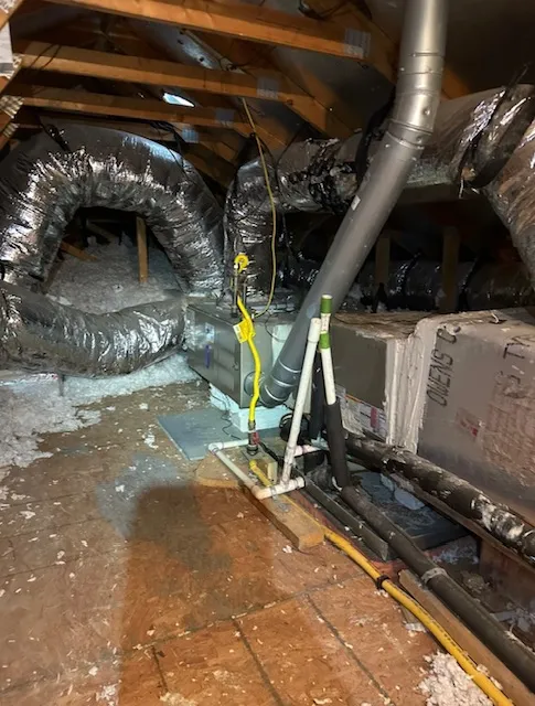 Replaced Zone Board During Freeze