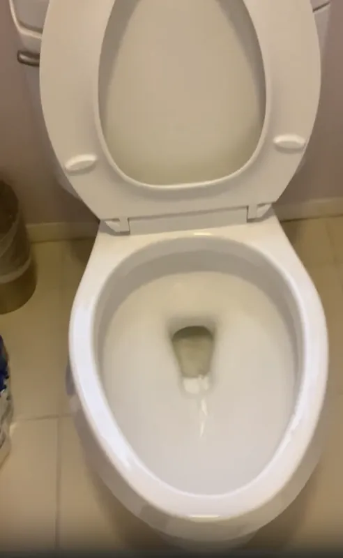 Clogged Toilet Cleared at a Glendora Home — Glendora, CA