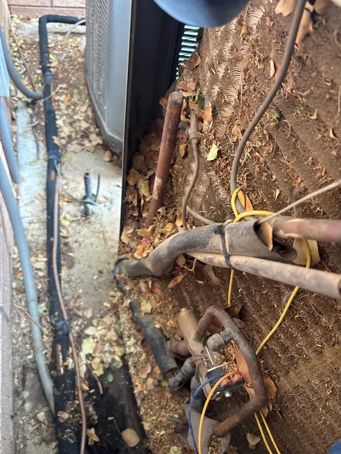 Condenser Coil Cleaning
