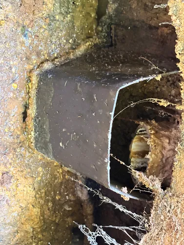 photo at Portland, TN on Jun 02, 2026: A thorough septic inspection was carried out in Portland. James initiated the process, examining th photo at Portland, TN on Jun 02, 2026: A thorough septic inspection was carried out in Portland. James initiated the process, examining th