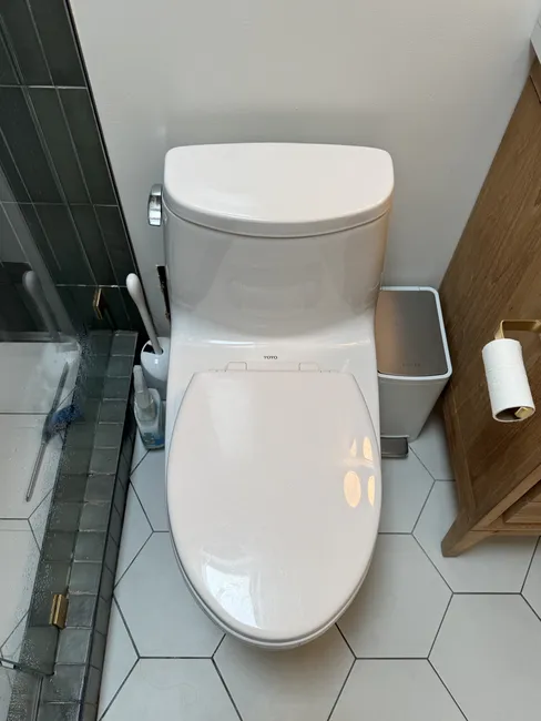 Unclog Toilet