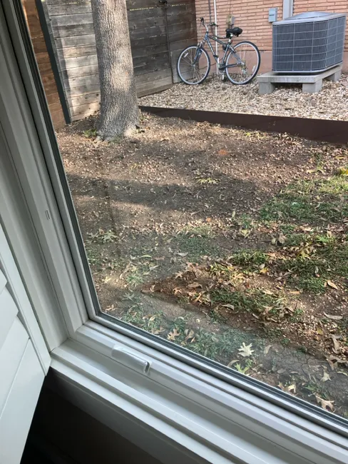 Best Window Cleaning For Residential In Austin Texas