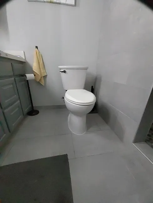 Toilet Repair
