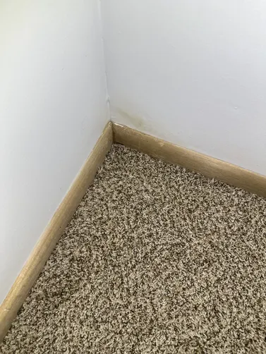 photo at Andover, KS on Aug 18, 2026: A mold evaluation was conducted at a basement in Andover after the homeowner suspected the presence photo at Andover, KS on Aug 18, 2026: A mold evaluation was conducted at a basement in Andover after the homeowner suspected the presence