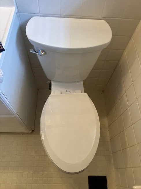 Toilet Replacement