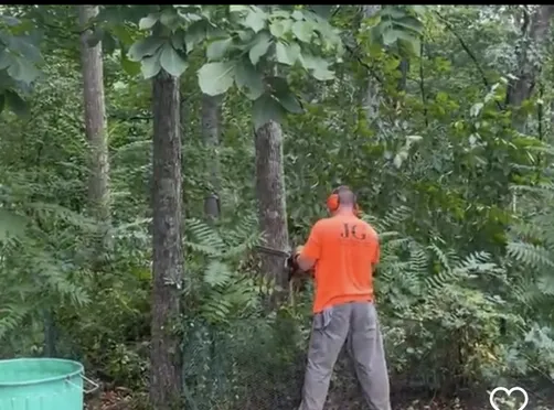 photo at Hopewell Junction, NY on Aug 02, 2022: With a new fence installation on the horizon, trees needed to be removed and limbs trimmed to ensur