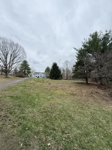 photo at Hyde Park, NY on Apr 12, 2025: With 7 dead or dying spruce trees, as well as a deceased maple and ash tree, the property was at ri