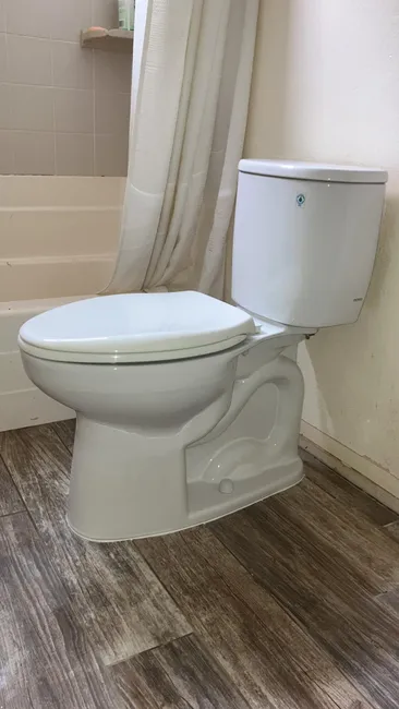 Toilet Replacement