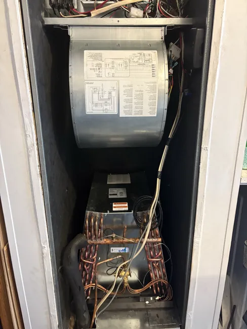 Job in Brandon