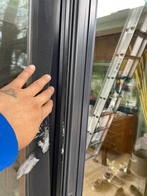 Keep Your View Crystal Clear: Regular Window Cleaning Maintenance