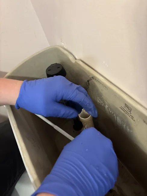 Toilet Repair