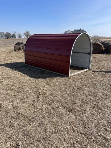 photo at Laneville, TX on Jan 30, 2026: 6x10-5'7