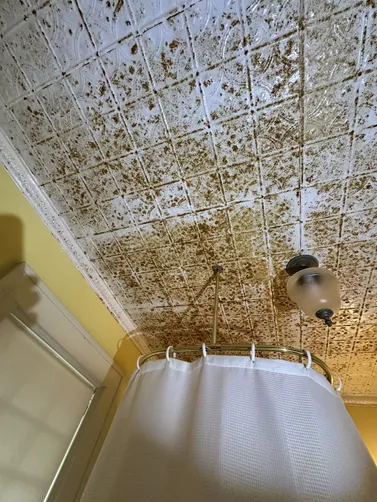 photo at Wichita, KS on Sep 24, 2026: After detecting mold near the vents, we conducted a thorough mold evaluation at the homeowner's req photo at Wichita, KS on Sep 24, 2026: After detecting mold near the vents, we conducted a thorough mold evaluation at the homeowner's req