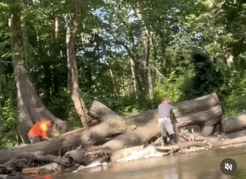 photo at Pleasant Valley, NY on May 04, 2022: Multiple hazardous, dying trees were threatening the safety of the backyard and blocking sunlight. 