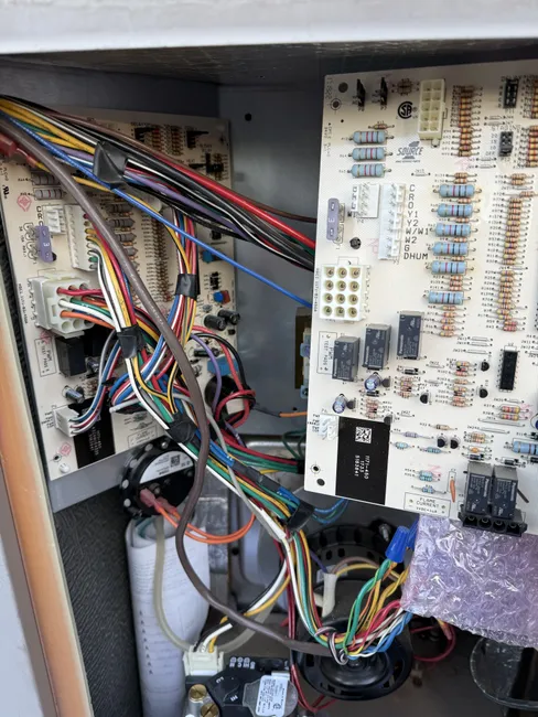 Job in Orangevale