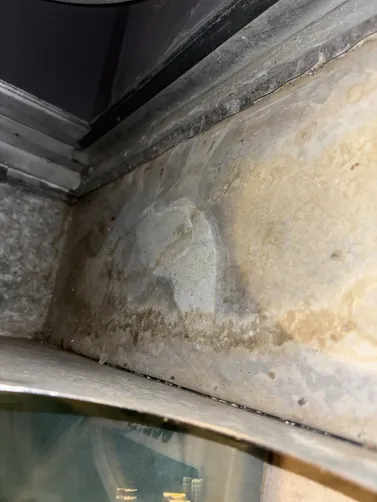 photo at Wichita, KS on Aug 14, 2026: A mold evaluation was necessary after identifying growth in the basement. We conducted a thorough a photo at Wichita, KS on Aug 14, 2026: A mold evaluation was necessary after identifying growth in the basement. We conducted a thorough a