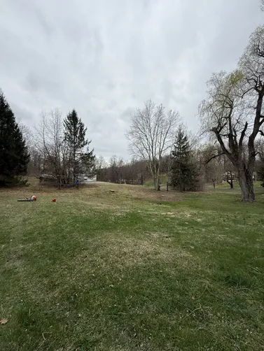 photo at Hyde Park, NY on Apr 12, 2025: With 7 dead or dying spruce trees, as well as a deceased maple and ash tree, the property was at ri