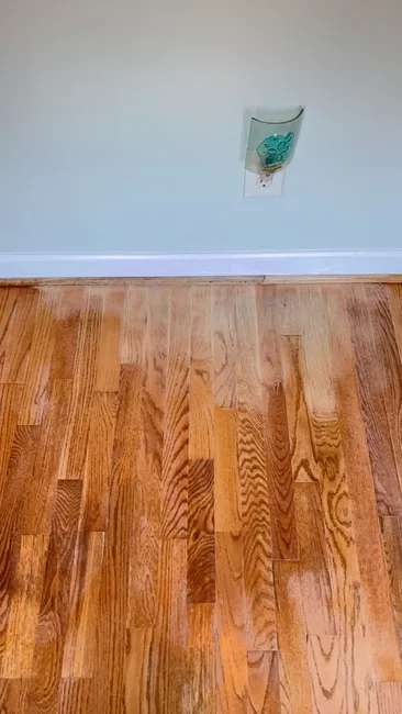 Transformed pet-stained floors by sanding and refinishing, restoring beauty to your home’s heart.