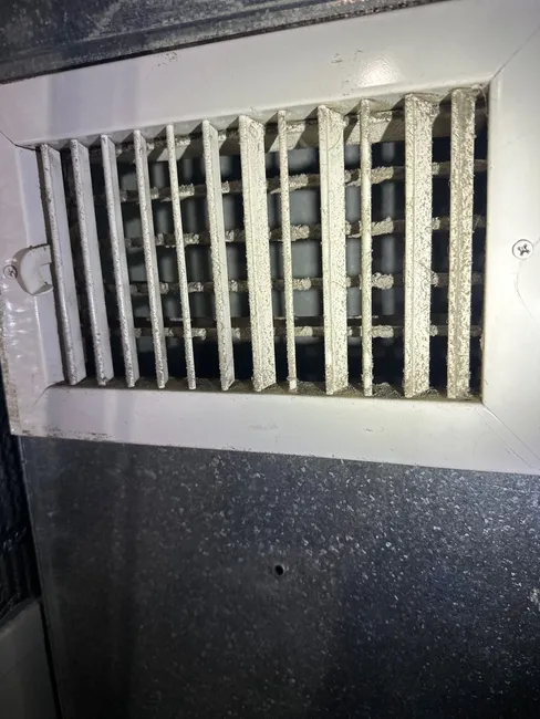 Mold Inspection
