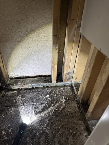 photo at Andover, KS on Oct 14, 2026: A leak behind the shower in a room required prompt attention as mold had developed due to prolonged