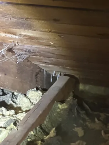 photo at Goddard, KS on Oct 12, 2026: A water leak had resulted in visible mold inside the home, prompting the need for a thorough mold e