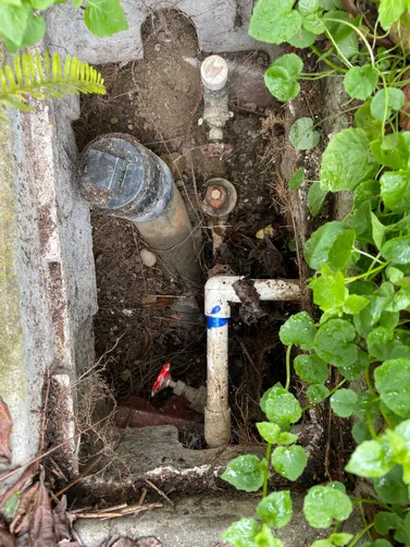 photo at Benicia, CA on May 21, 2025: High water pressure in the house led to several issues, prompting us to replace the pressure regula