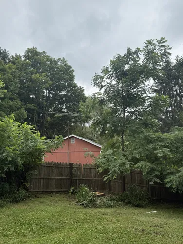 photo at Stanfordville, NY on Aug 01, 2025: Two dead and dying coniferous trees along the left side fence line posed a hazard, so we removed th