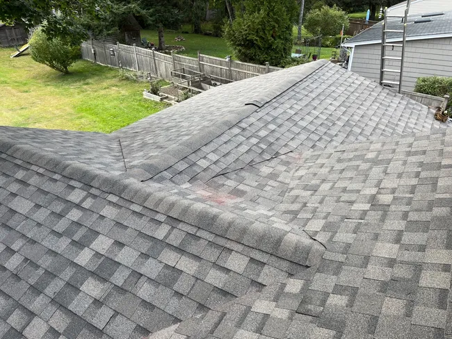 Dynasty Shingo drift shake
22 square one layer ripped and remove one day