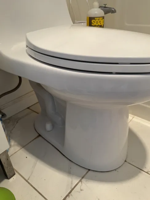 Toilet Pull & Reset