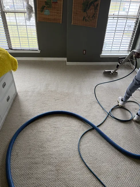Jonesboro Berber Carpet Cleaning