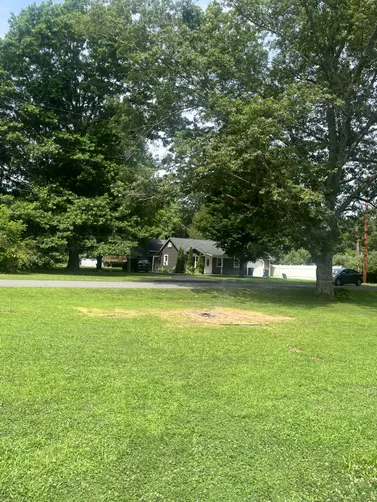photo at Pine Plains, NY on Jul 07, 2025: We were called to remove a dead tree in the center of a customers front yard. Our team came in and 