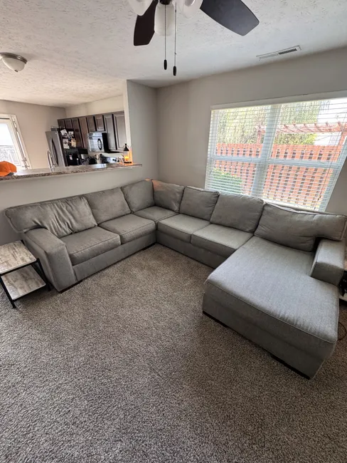 Sectional Couch Cleaning W/ Pet Urine Treatment