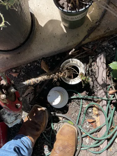 photo at walnut Creek, CA on Apr 10, 2026: Roots in the main sewer line led to significant clogging, affecting the home's drainage. We promptl
