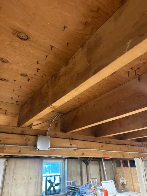 Mold Inspection