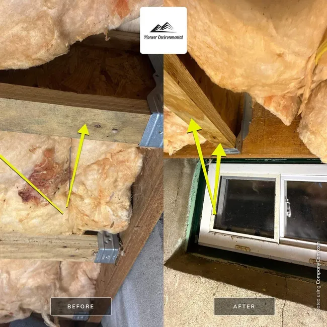 Removal Of Suspect Microbial