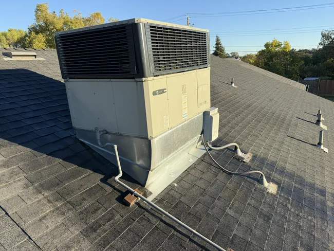 Job in Orangevale